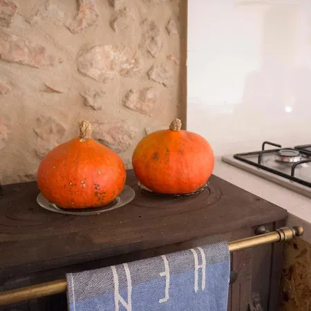 Holiday home La Costereta Rustic House